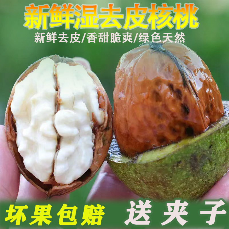 【中通生鲜专线1】2024大凉山新鲜核桃老树核桃1斤3斤5斤