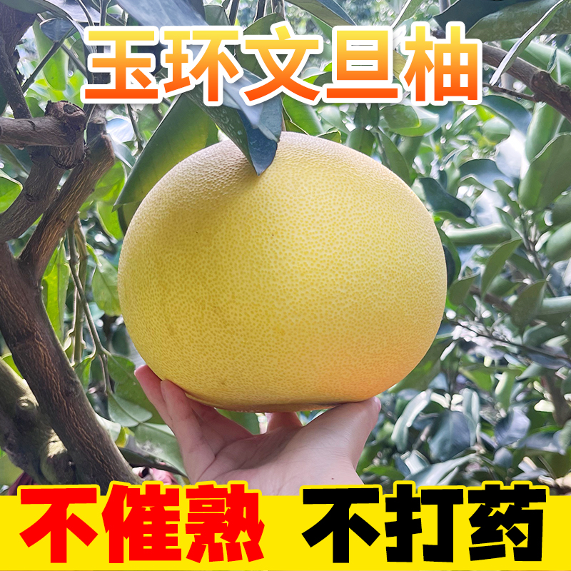 [裂口果]10斤装特价