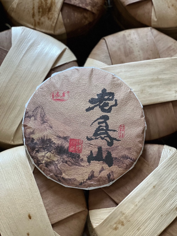 【茶珍珠】普洱野生古树生茶2023年