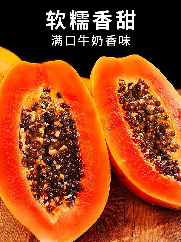 【青青】【精选】当季红心木瓜现摘现发鲜甜多汁树上自然成熟