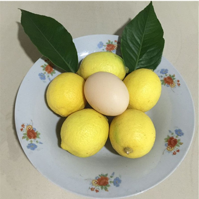 【青青】5斤精选安岳黄柠檬酸爽孕妇水果皮薄肉厚汁多柠檬新鲜奶茶