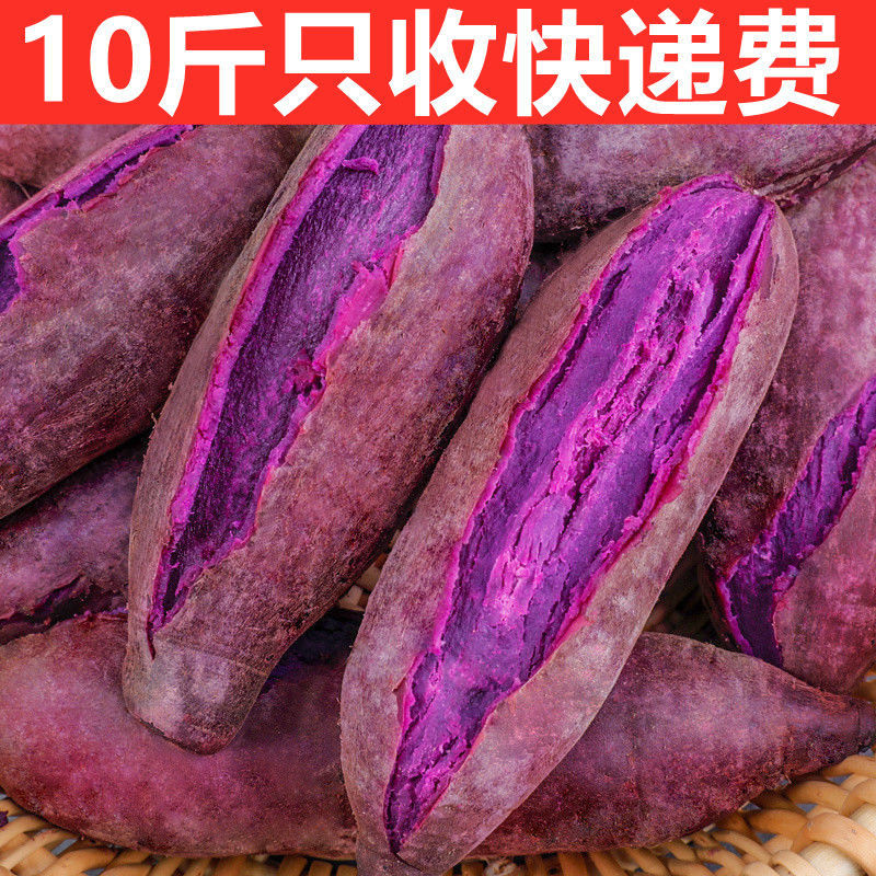 【青青】正宗紫薯新鲜沙地紫薯番薯粉糯香甜板栗优质生态皮薄种植