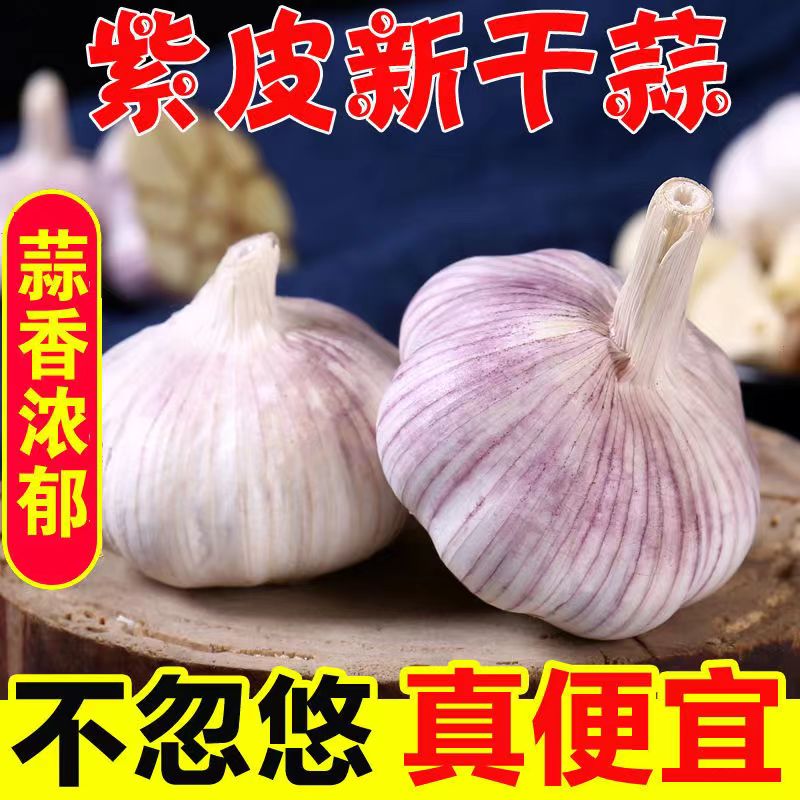 【青青】23年新干蒜大蒜头干蒜紫白皮大蒜腊八蔬菜新鲜蔬菜农家