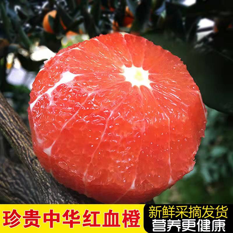 【青青】血橙9斤秭归中华红橙当季新鲜水果橙子红心脐橙塔罗科农产