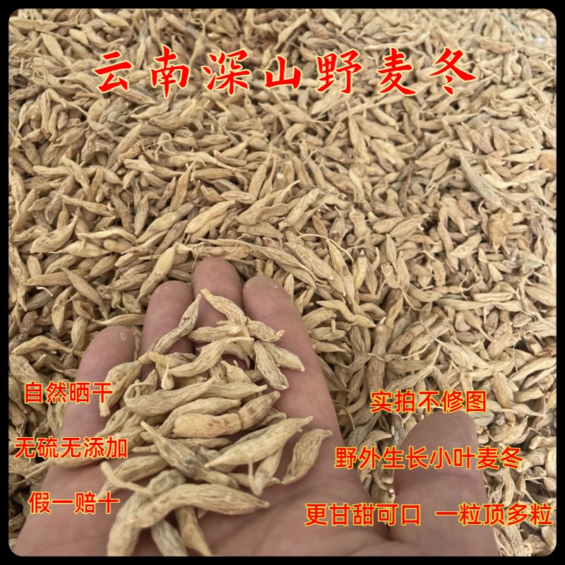 云南深山野外生长小叶麦冬 无硫无添加原生态自然晒干更甘甜可口
