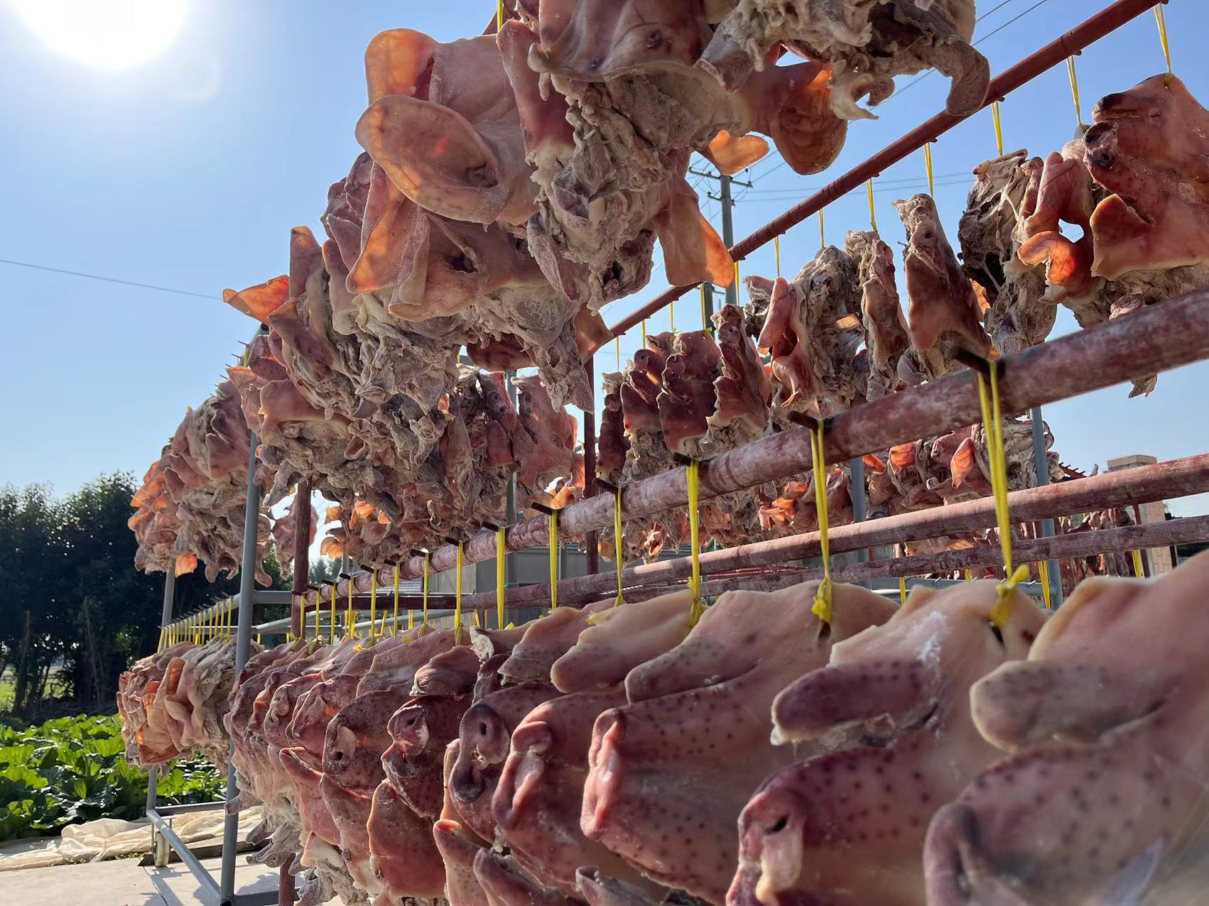 盐城特产步凤风干咸猪头整只带耳带骨带舌头  （送一只咸鸡） 