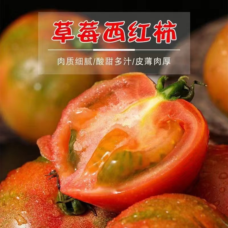 苏北盐城草莓番茄（现摘现发）3斤