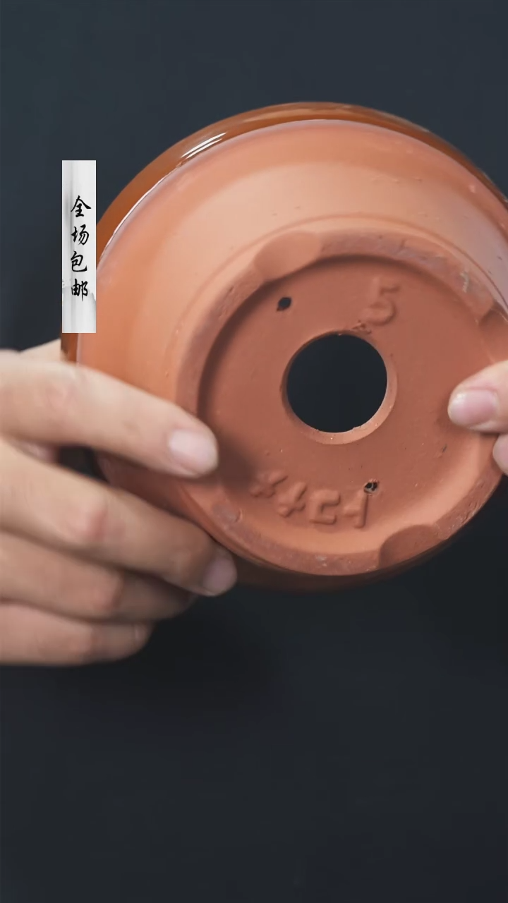 【闪购商品】常滑烧5号浅一个