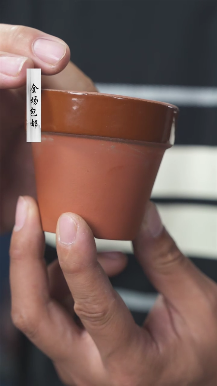 【闪购商品】常滑烧2.5号深一个