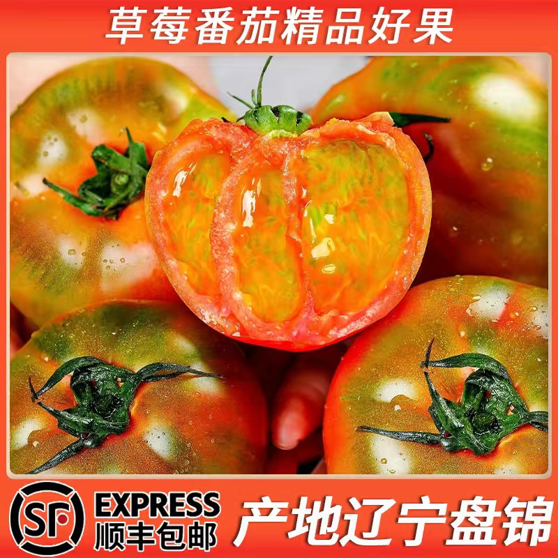 顺丰精品盘锦碱地柿子铁皮柿子水果草莓番茄酸甜小番茄小西红柿