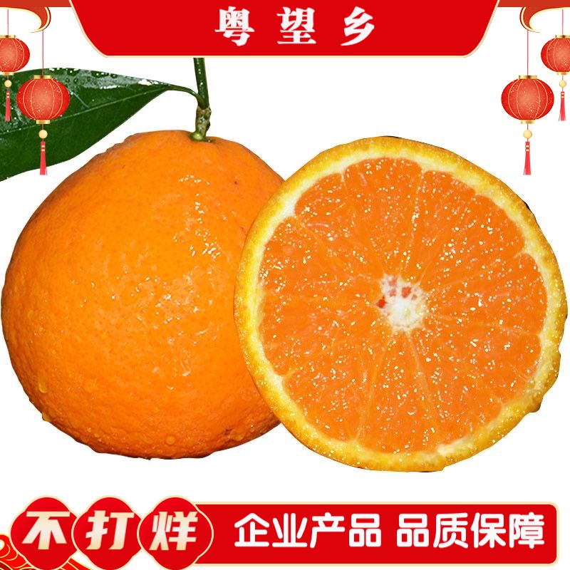 粤望乡眉山春见耙耙柑新鲜水果甜美香甜新年基地品质多汁味道好吃