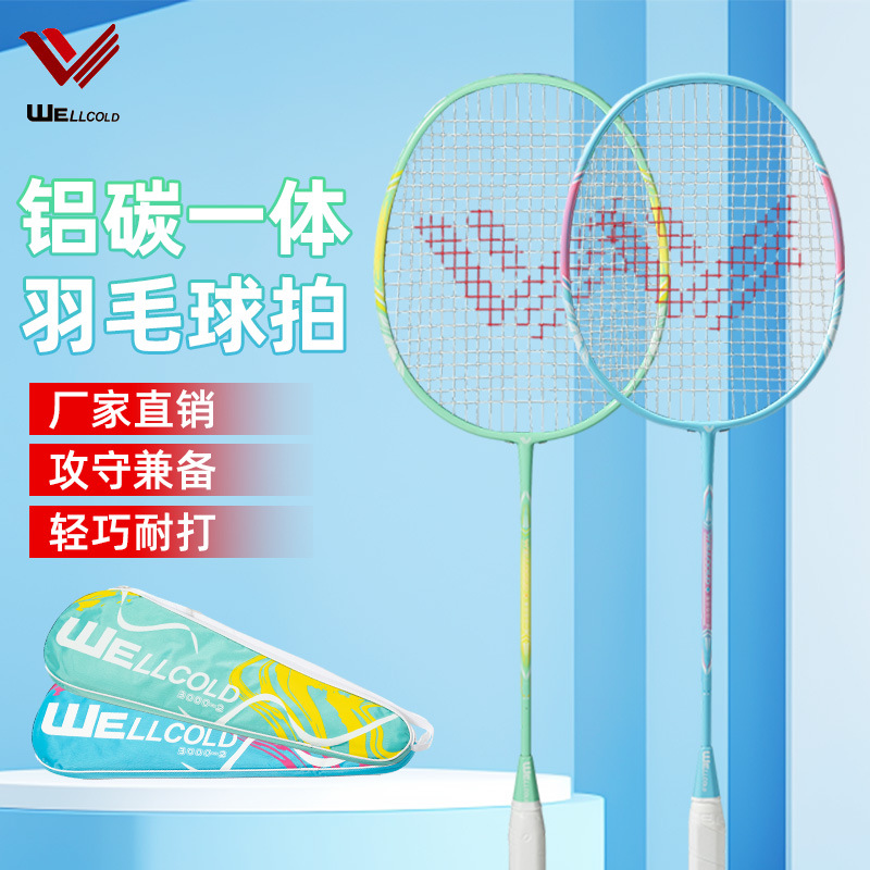 复合碳素羽毛球拍套装成人专业超轻耐打训练拍防震球拍高档家庭装