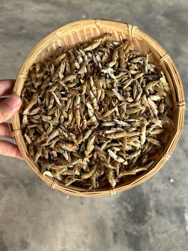 绿水塘100g 生茶