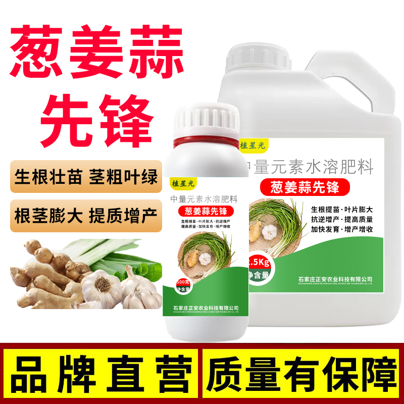正品葱姜蒜先锋尖绿绿叶葱蒜微生物大葱白斑病进口不伤叶韭菜小葱