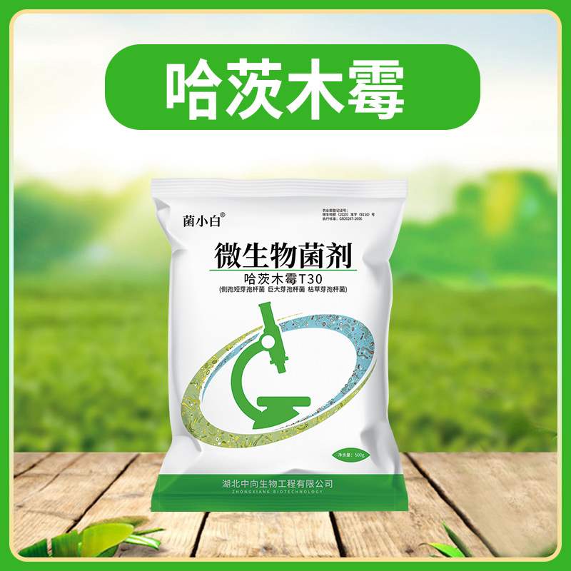 中向推荐哈茨木霉菌微生物菌剂菌肥生根壮苗500g