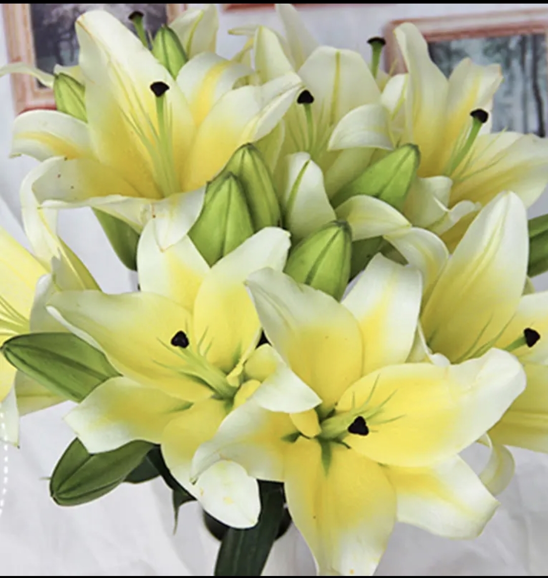 【百年好合】黄天霸香水百合（一单中通）