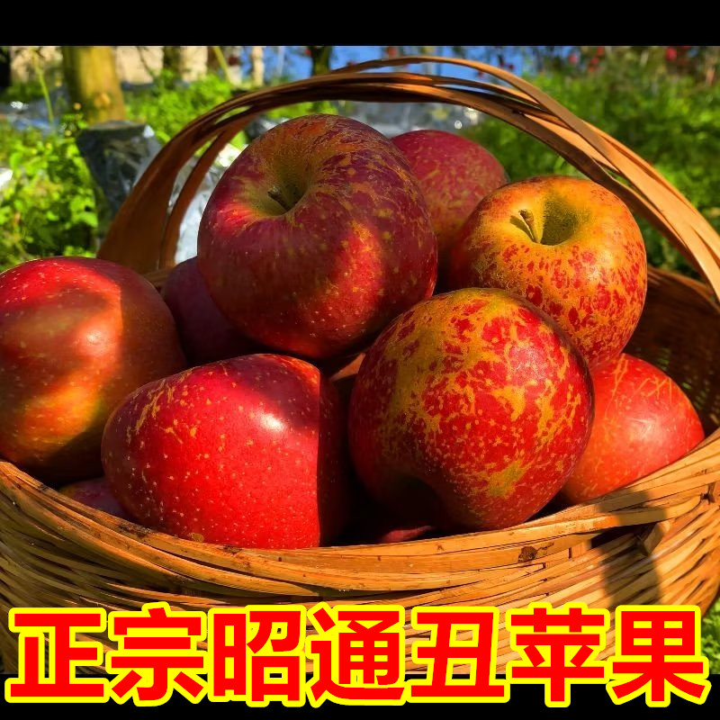 正宗云南昭通丑苹果冰糖心苹果高原当季新鲜孕妇宝宝水果5斤包邮