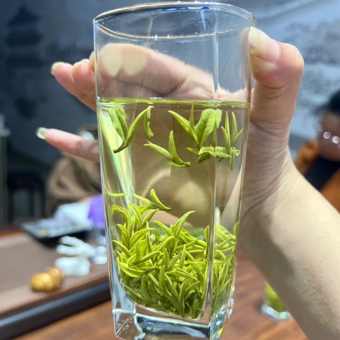 2025年新茶英山明前头采纯手工特级云雾100克/250克/500克装