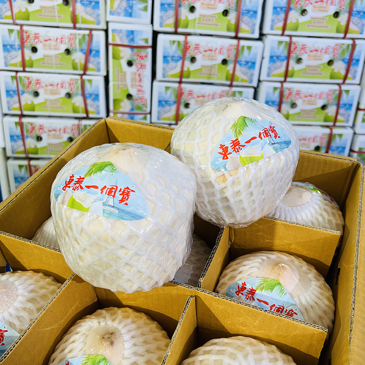 【乐鲜果园】泰国东泰一个宝香水椰青进口新鲜椰子
