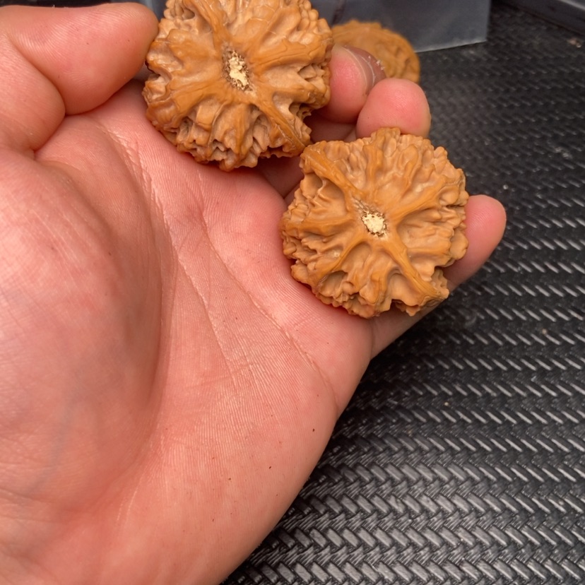 【闪购商品】文玩核桃吊坠哈*？43尺