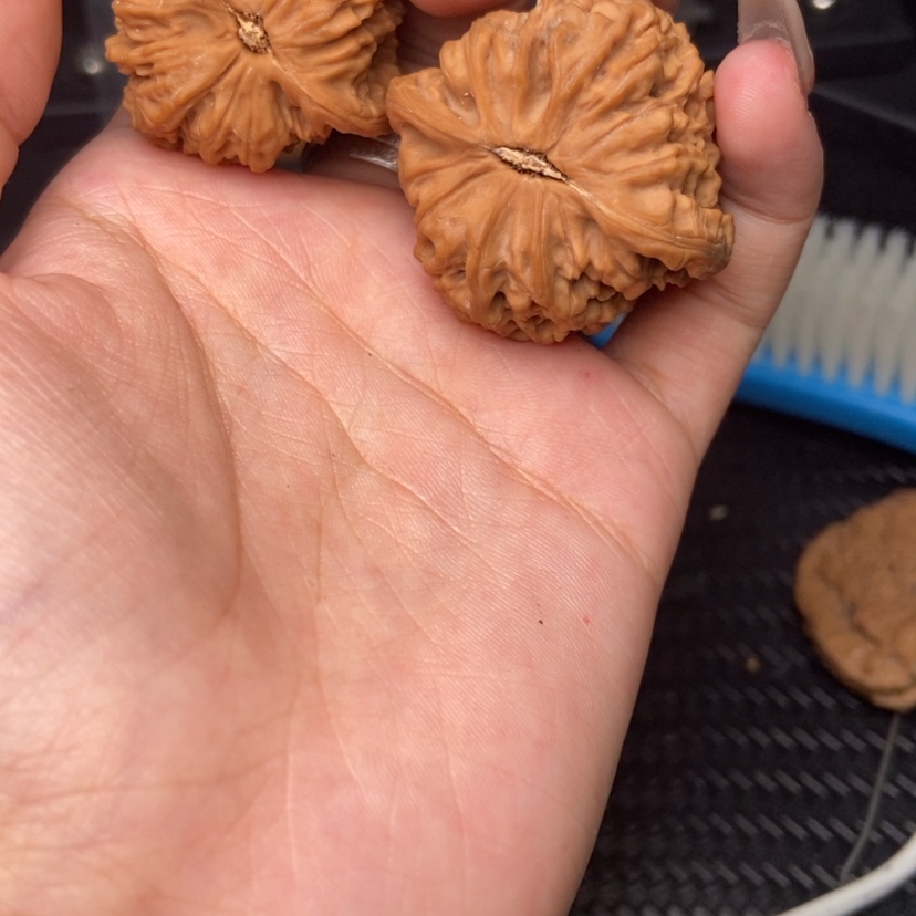 【闪购商品】文玩核桃吊坠小**？