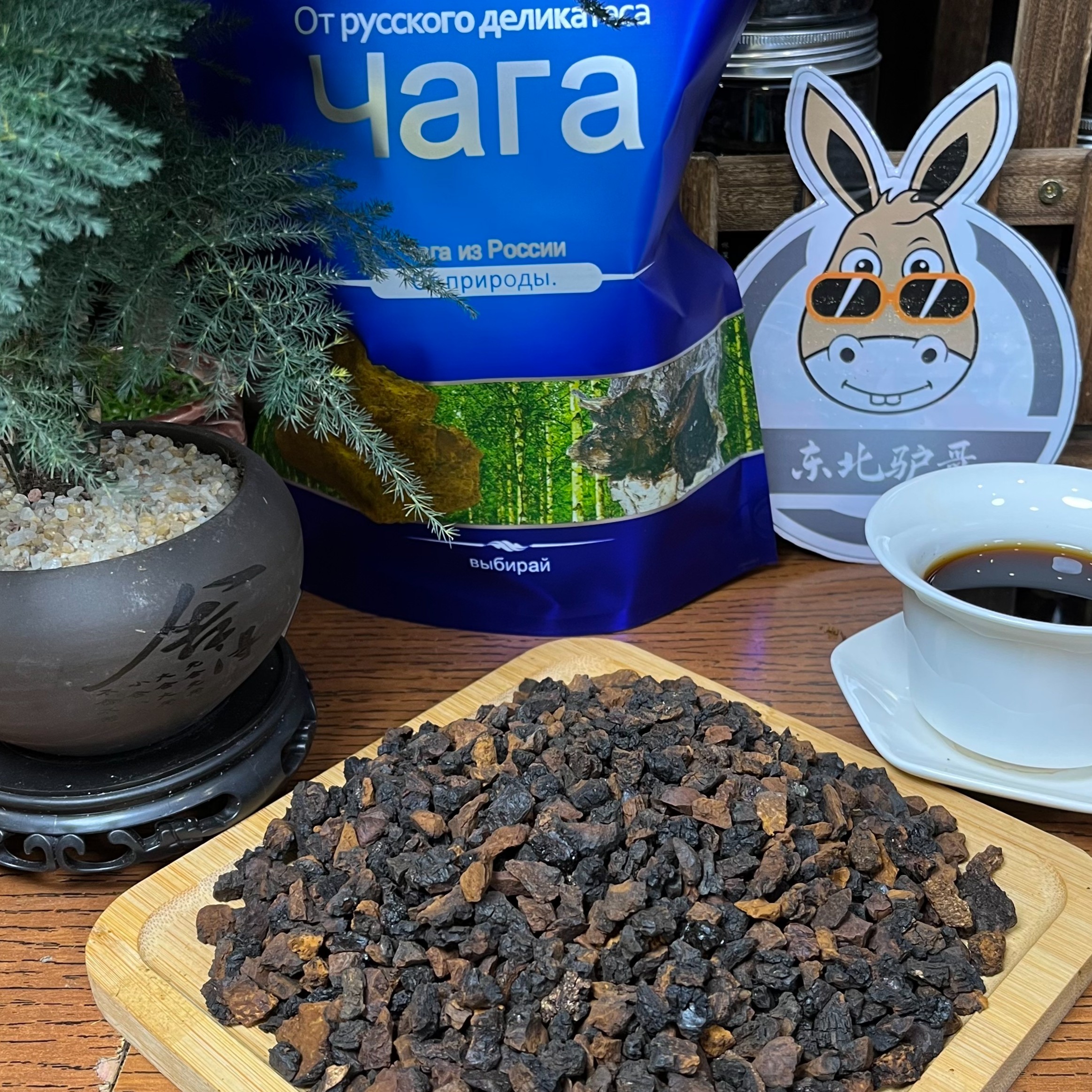 ＜驴哥＞野生高品质桦褐孔菌原块金黑金颗粒250g 桦褐孔菌