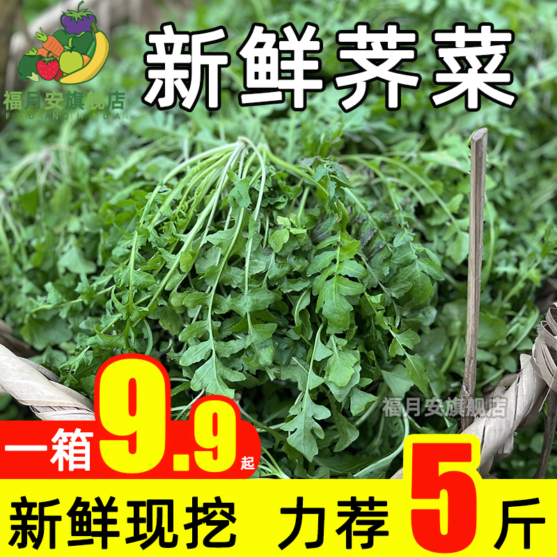 现挖野生荠菜新鲜芥菜扁锅铲野菜地丁蔬菜5斤馄饨饺子馅包邮整箱