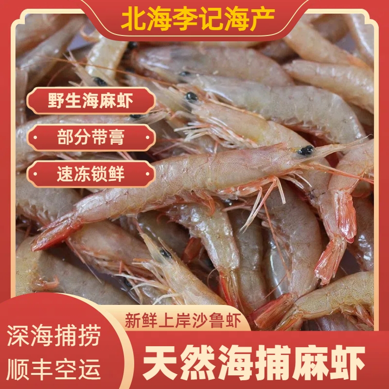 野生麻虾北海涠洲岛野生海捕新鲜上岸麻虾脆口沙鲁虾滑皮虾产品