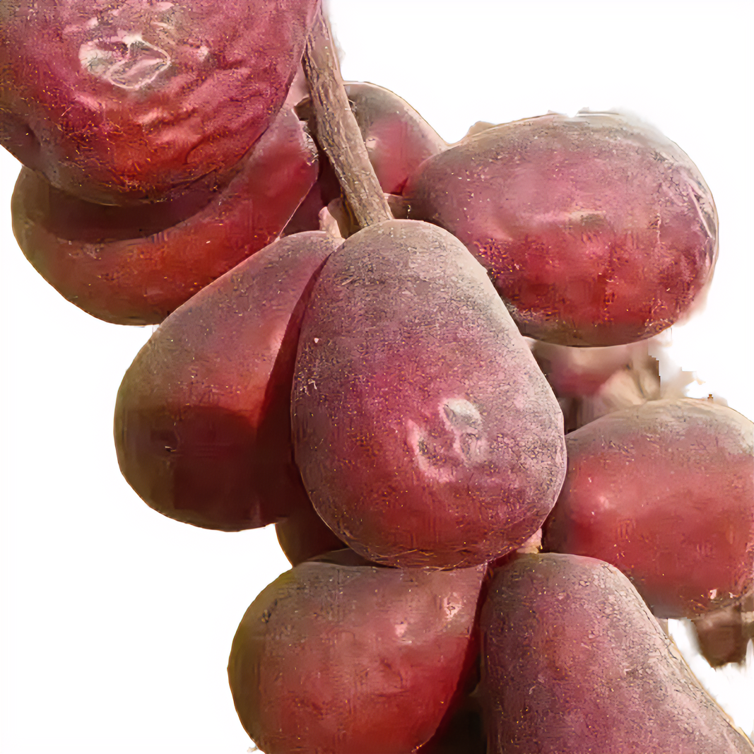 2026新疆和田大枣枣王5.0 新疆直发净重5斤 原生态不加工 骏枣