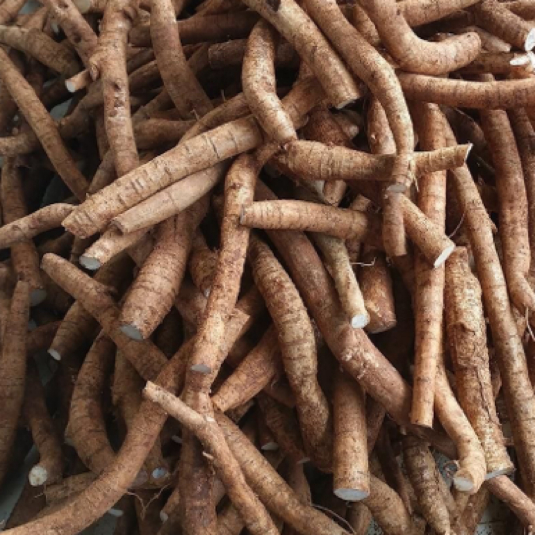 16年新鲜牛大力老薯