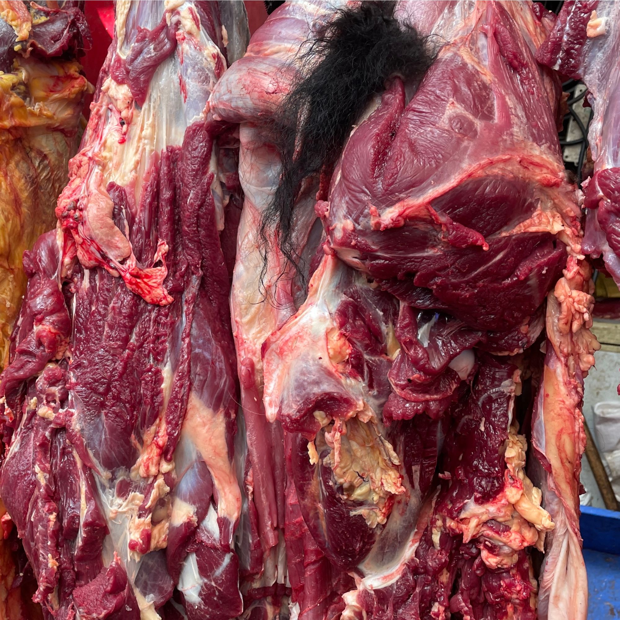 【直播专用】阿坝高原散养3-5年正宗新鲜牦牛肉