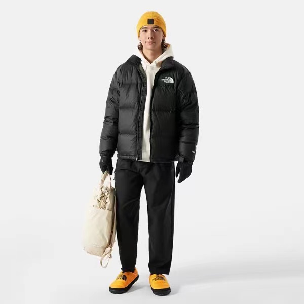 全新未使用 THE NORTH FACE/北面  1996美版羽绒服ICON经典款芯片