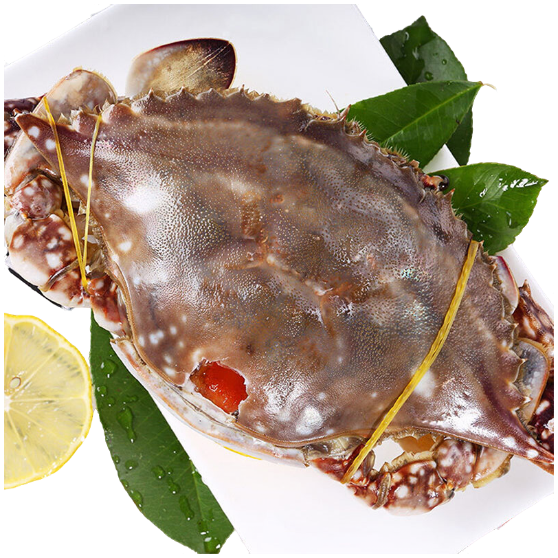 【顺丰微微】潮龙红膏蟹3-4两*2只