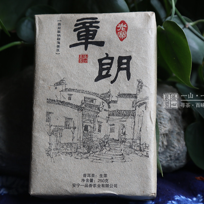 章朗2015年西双版纳巴达古茶山古树纯料头春头采250克砖