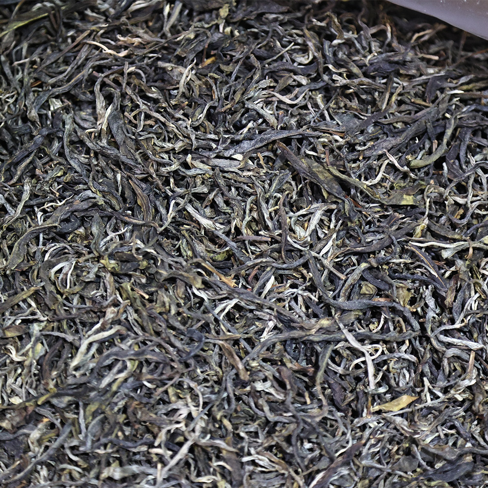 益心泉南本老寨2024年头春头采古树纯料100克生茶