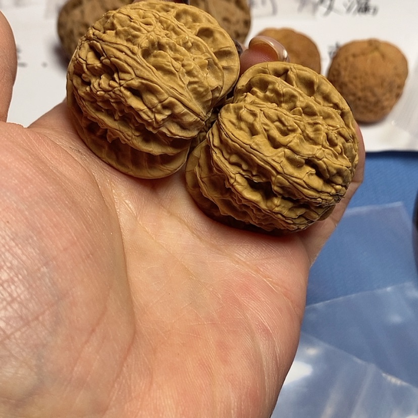 【闪购商品】核桃核雕