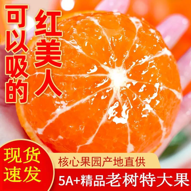 正宗温岭坞根红美人柑橘 爱媛28号果冻橙蜜桔子新鲜水果整箱