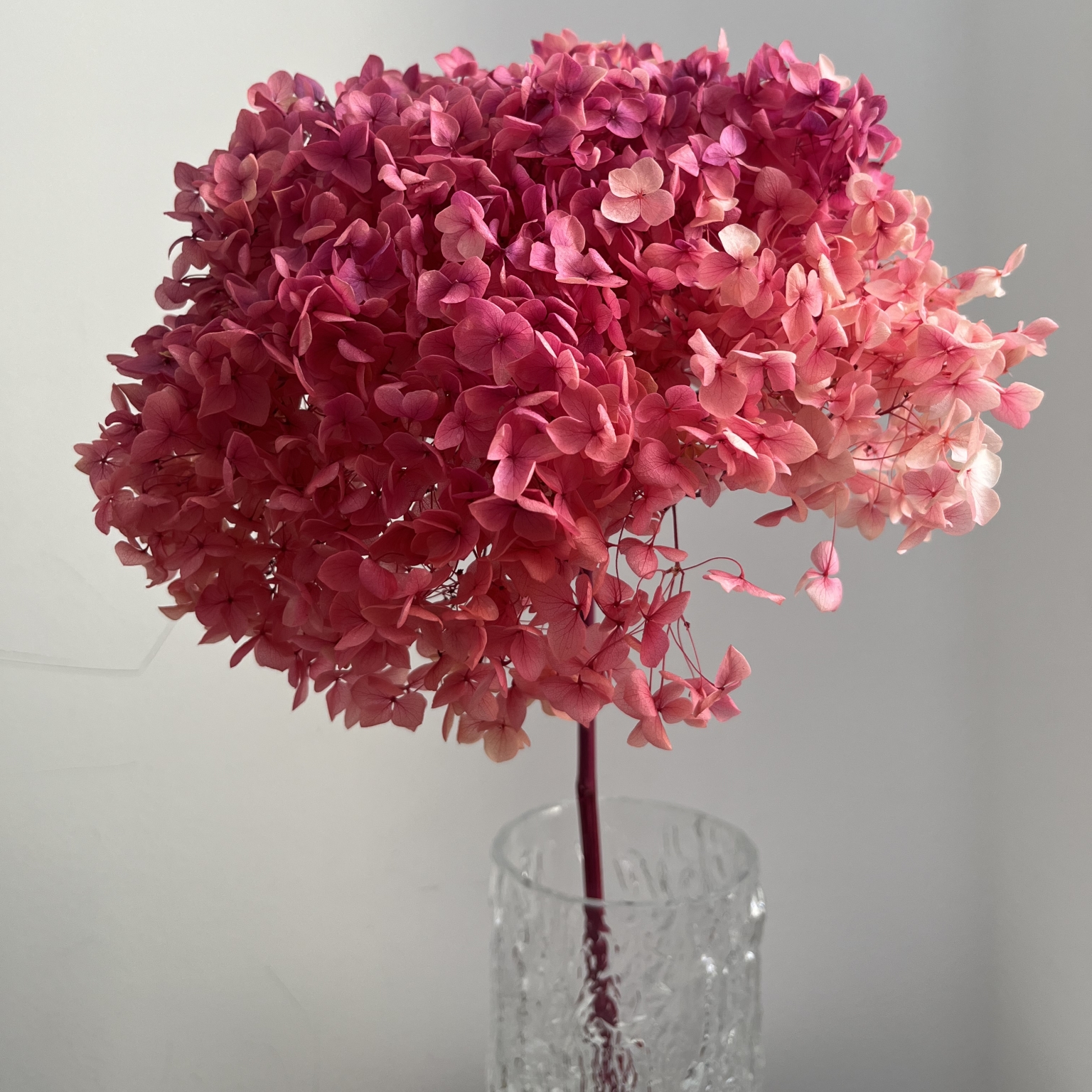 婚礼~生日献给深爱的你绣球干花永生花小叶高端装饰花束让爱永存