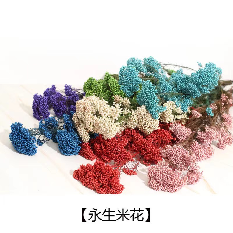 精美真花米花永生花干花风干花束花材生日求婚婚礼装饰天然雪花