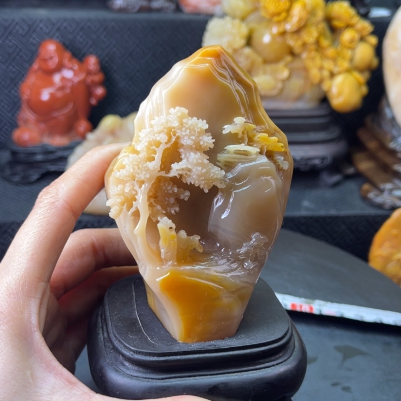 【闪购商品】老挝石斋****椿