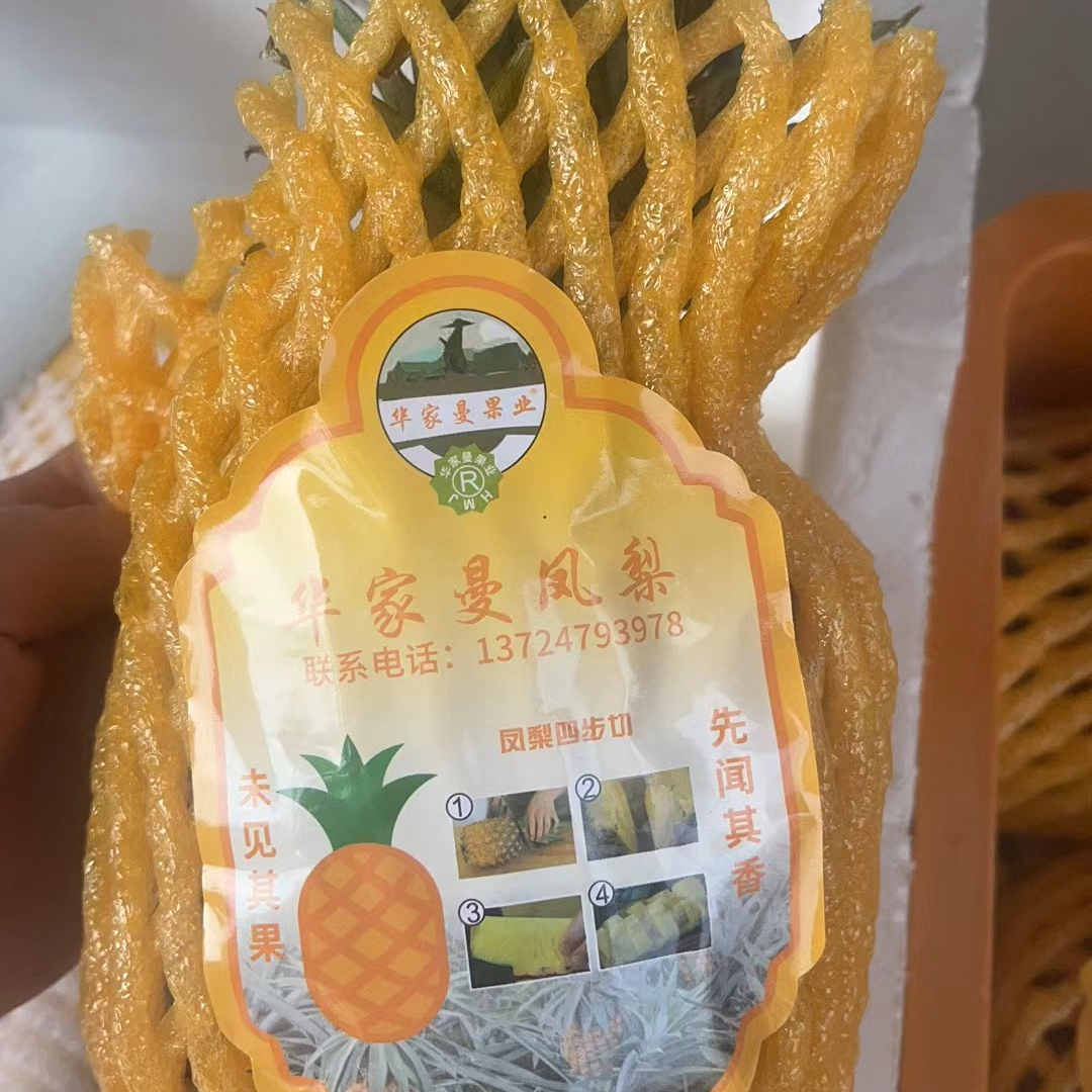 小张凤梨削好600克以上！特大的不一定是整个，份量很足