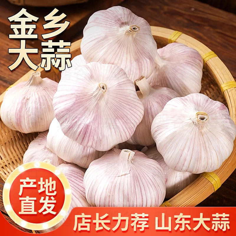 正宗金乡紫白皮大蒜头2025年新干蒜可吃可种植3斤5斤