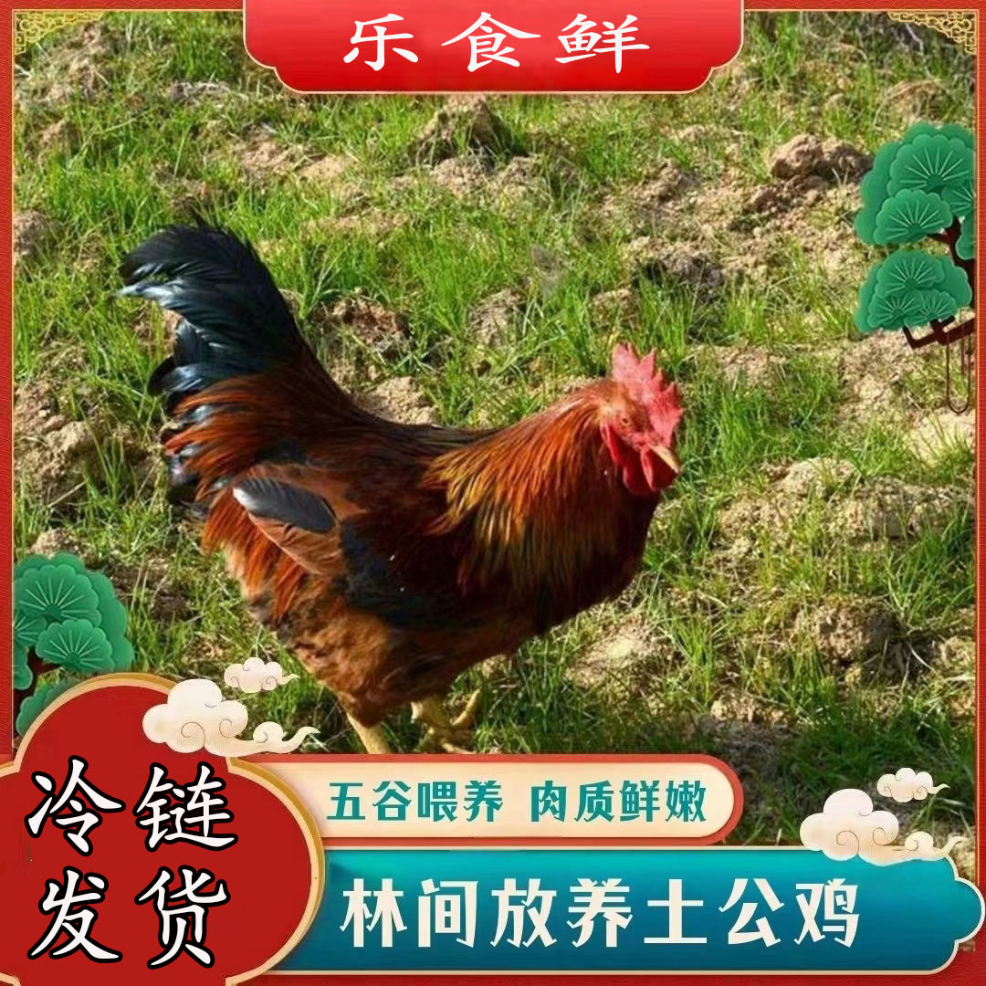 【土鸡】放养土公鸡 仔公鸡 4只毛重13-15斤 净重共8-9斤 带内脏