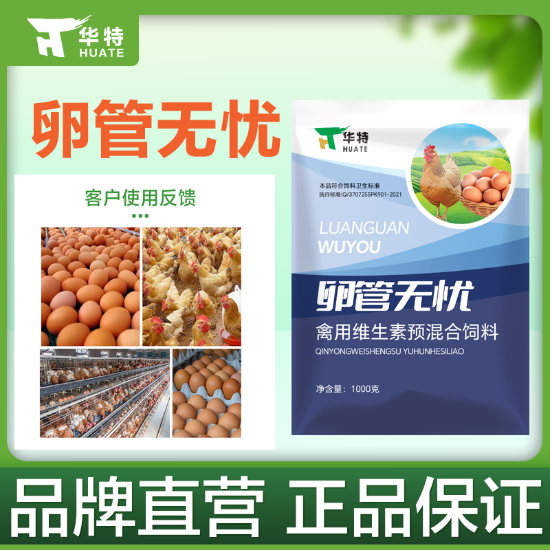 卵管无忧 蛋鸡预混合饲料