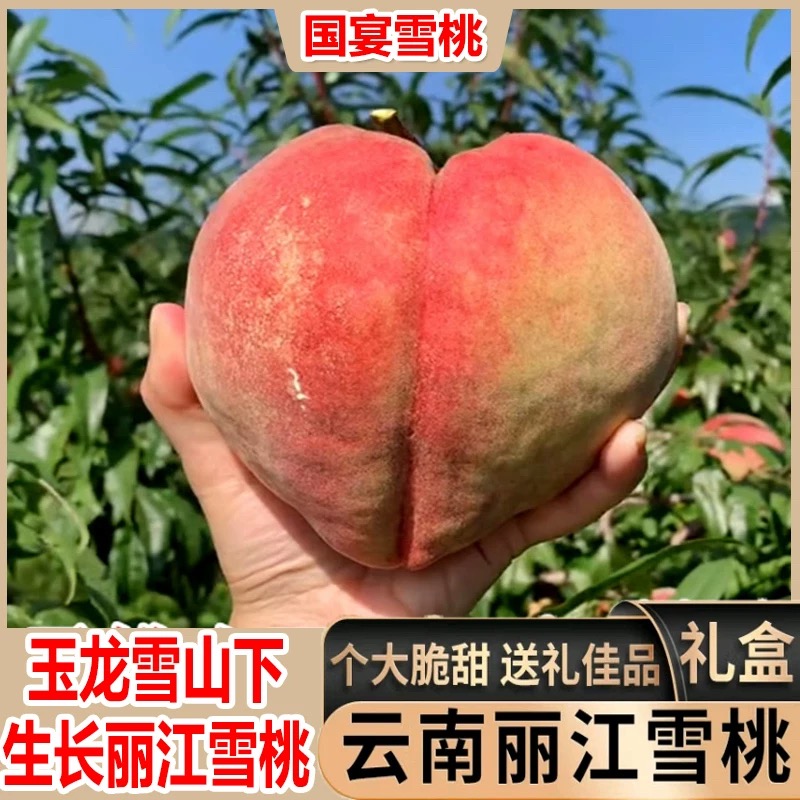 [丽江拉市海雪桃]3斤拉市海雪桃脆甜多汁人间仙品国宴买3斤送2斤