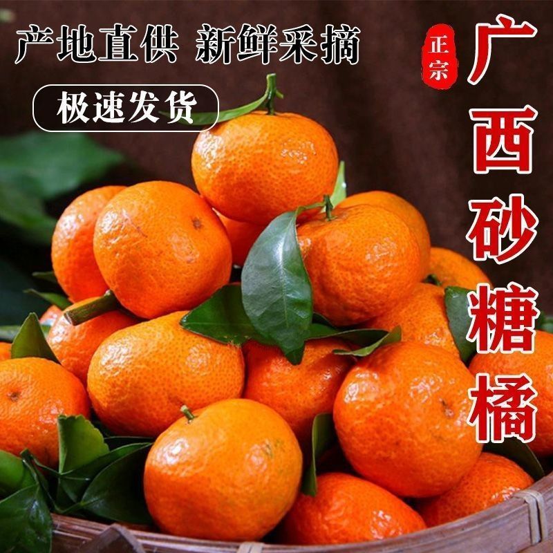 超甜沙糖桔3斤装