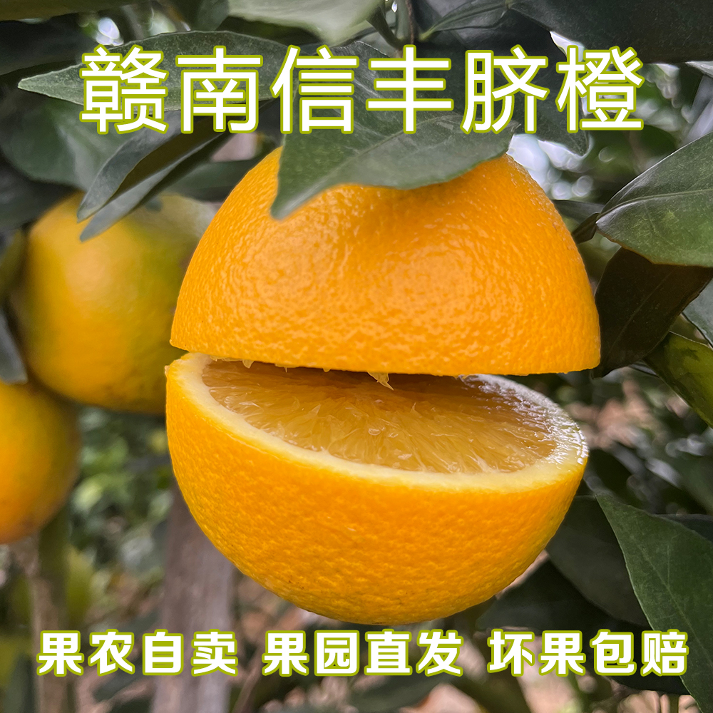 【京东快递】10斤 正宗赣南信丰脐橙 果园直发