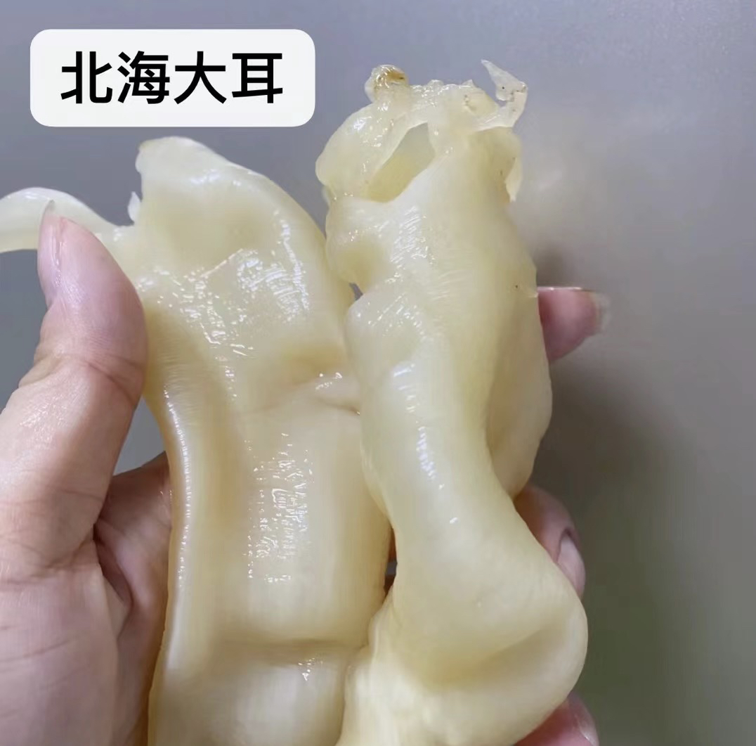 阿霞花胶 北海大耳（直播间临时改价）