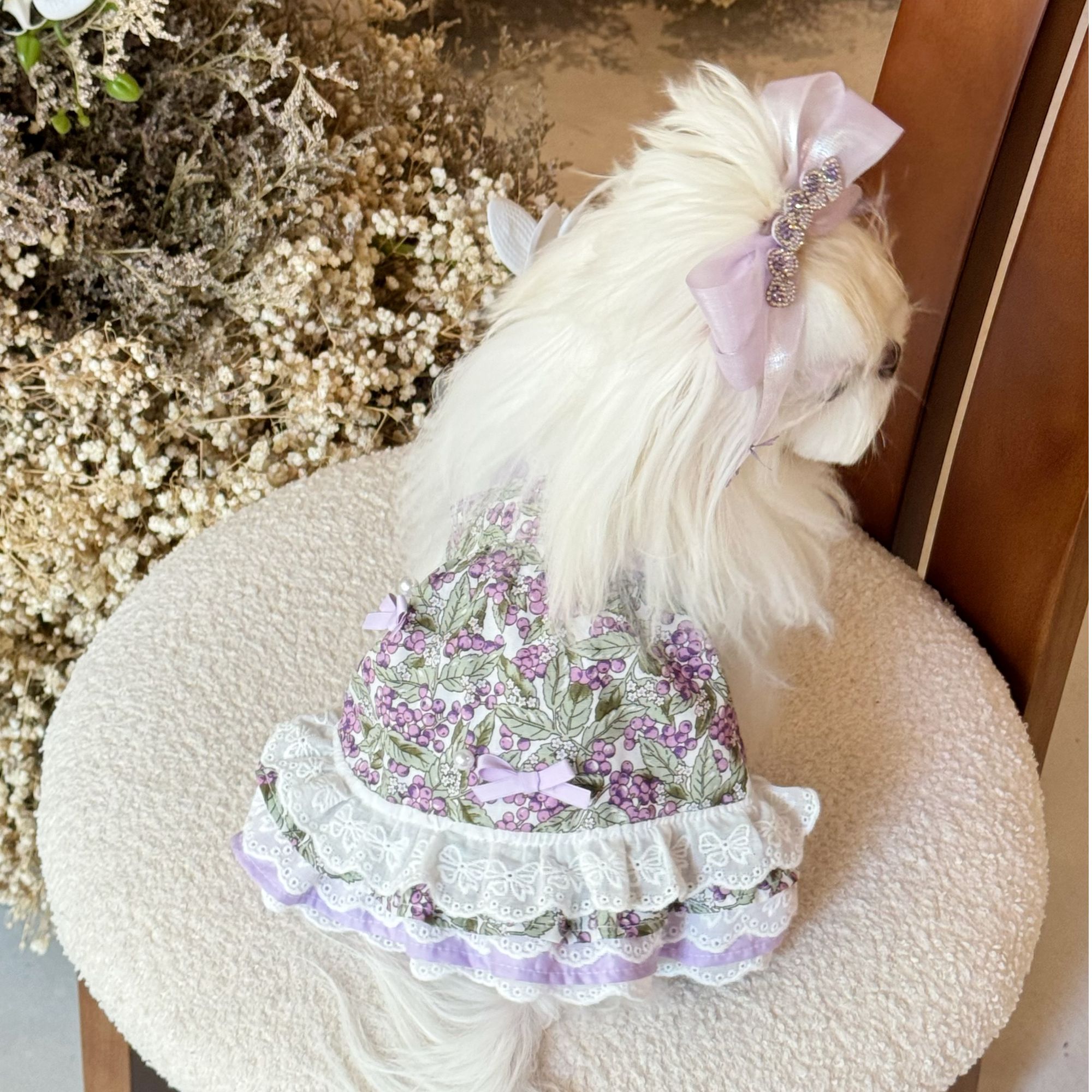 曲奇椰自制｜春秋双层抹胸裙棉舒适宠物蝴蝶结大裙摆小型犬比熊