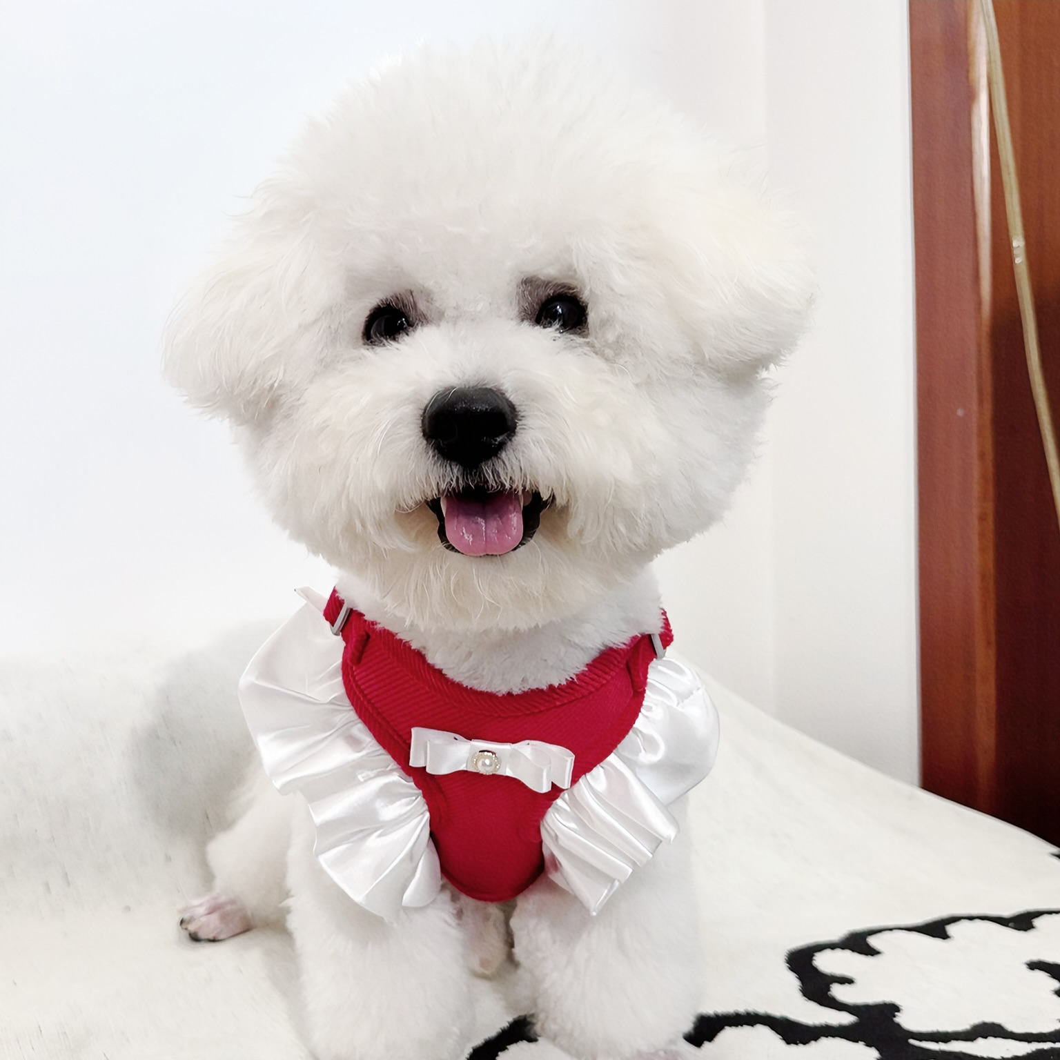 韩系奶油花边蝴蝶结猫咪狗狗宠物胸背带小狗牵引绳外出遛狗送绳子